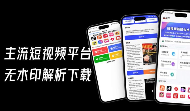 安卓多平台短视频无水印下载，免费无广告支持抖音快手小红书-极客船长